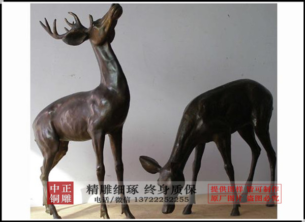 timg (8)_副本.jpg timg (8)_副本.jpg