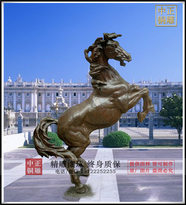 8557160744_467274023.jpg 8557160744_467274023.jpg