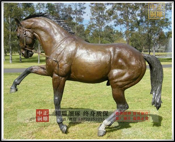 HTB1F3dlXIfrK1RjSszcq6xGGFXaw.jpg_.webp.jpg HTB1F3dlXIfrK1RjSszcq6xGGFXaw.jpg_.webp.jpg